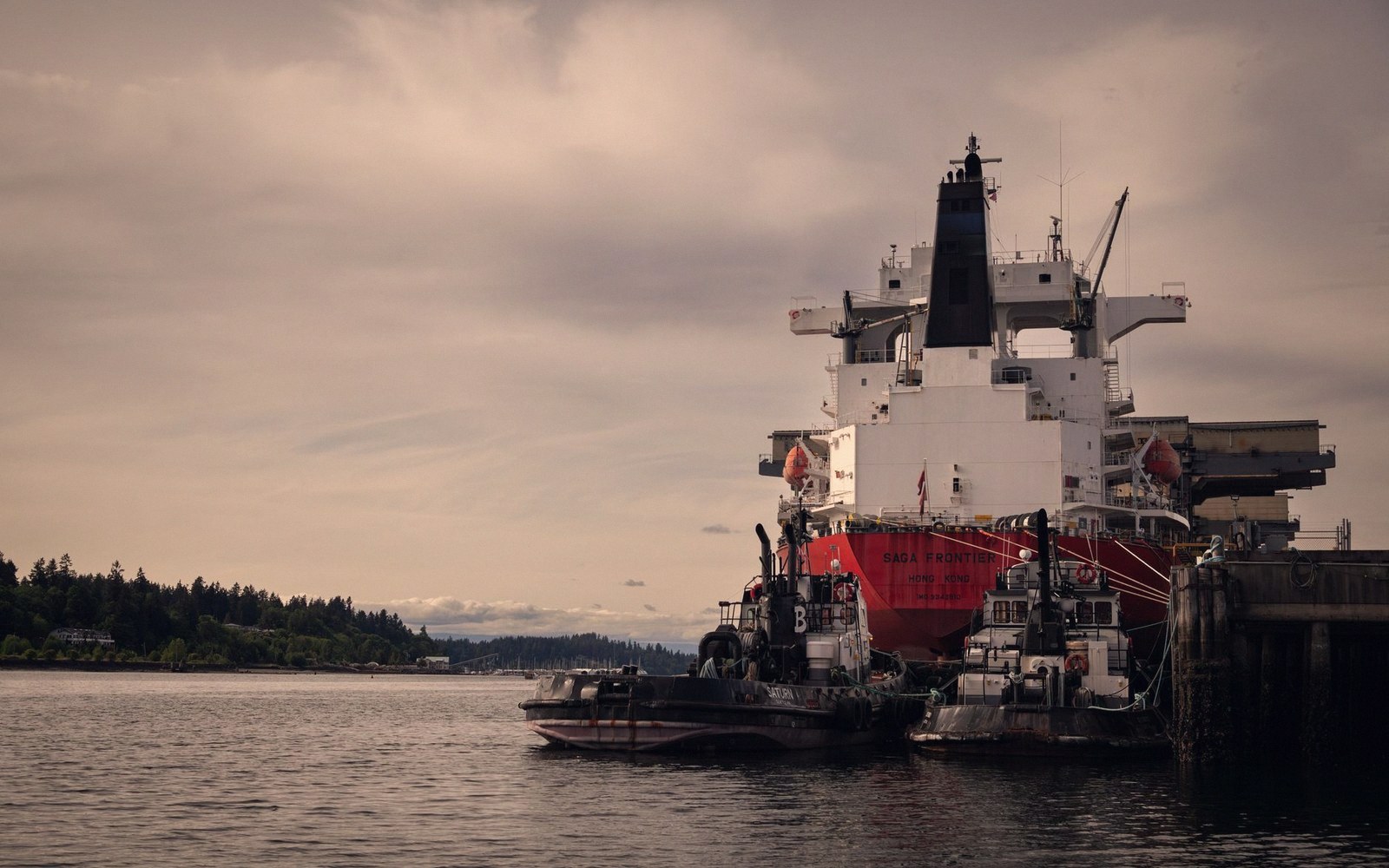 A large tanker ship docked at a pier beside a forested shoreline under cloudy skies